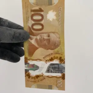 CAD $100 Bills