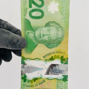 20 Canadian Dollar
